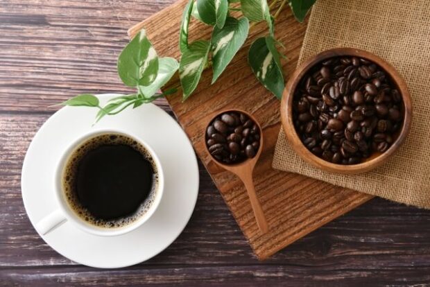 KADATUAN KOFFIE JAPANが誇る西ジャワの大自然とオーガニック・ハラル基準が生み出す奇跡の風味解析の物語